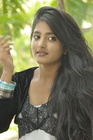 Ulka Gupta Gallery